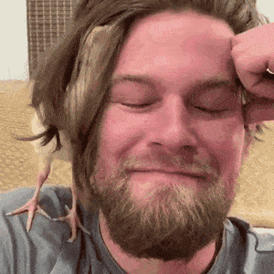 Acid GIFs, May 24 (25 gifs)