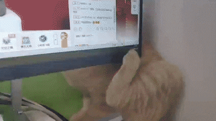 Acid GIFs, May 24 (25 gifs)