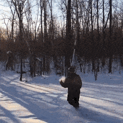 Acid GIFs, May 24 (25 gifs)