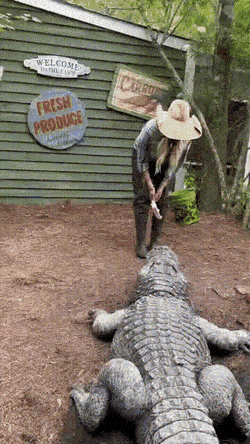 Acid GIFs, May 24 (25 gifs)
