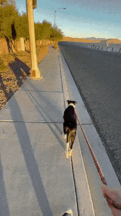 Acid GIFs, May 26 (25 gifs)