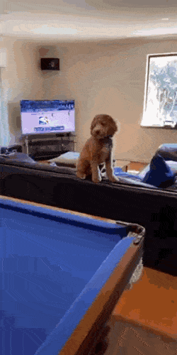 Acid GIFs, May 26 (25 gifs)