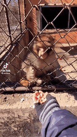 Acid GIFs, May 26 (25 gifs)
