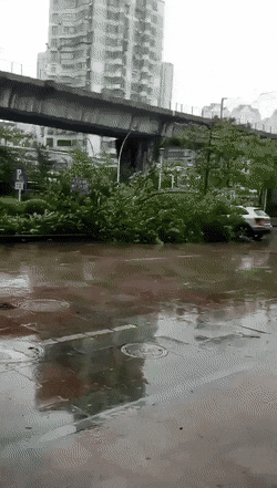 Acid GIFs, May 26 (25 gifs)