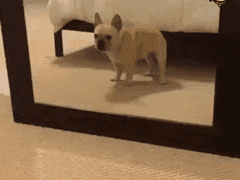 Acid GIFs, May 26 (25 gifs)