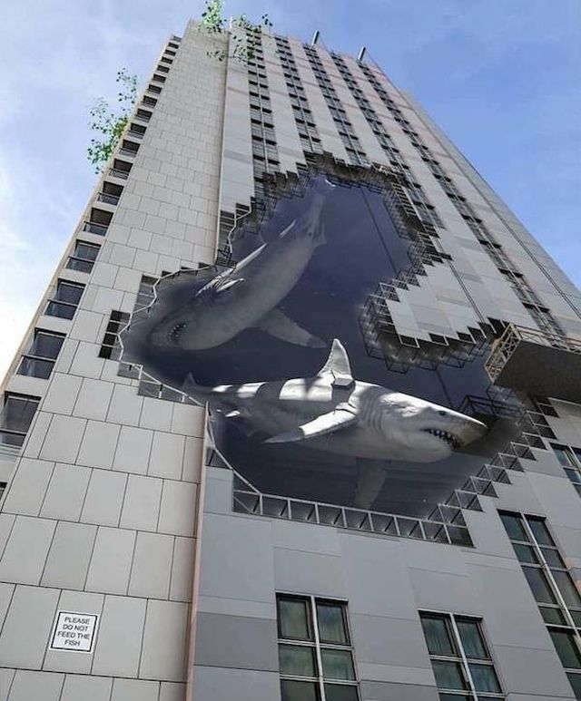 Wonderful Graffiti (30 pics)
