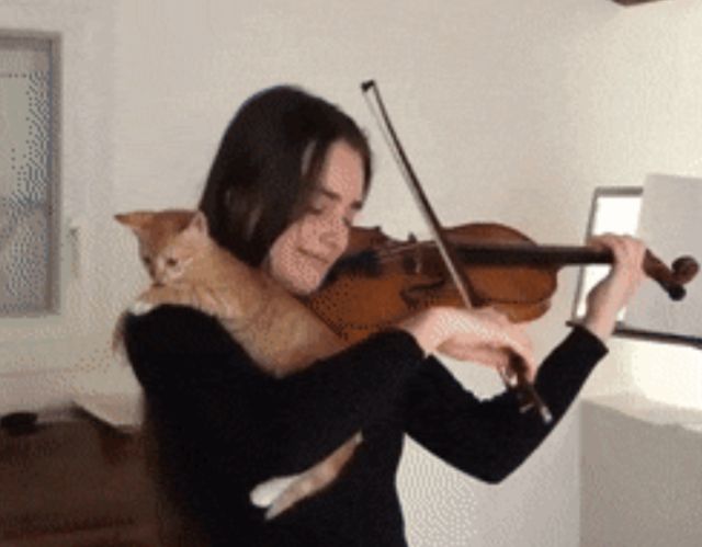 Acid GIFs, May 27 (25 gifs)