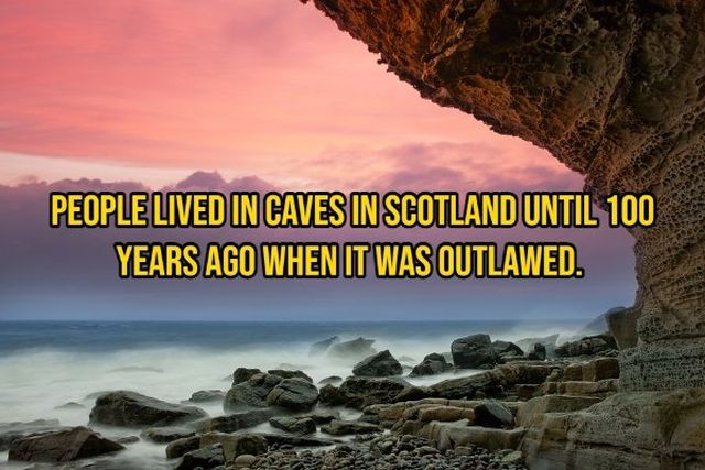 Random Facts (14 pics)