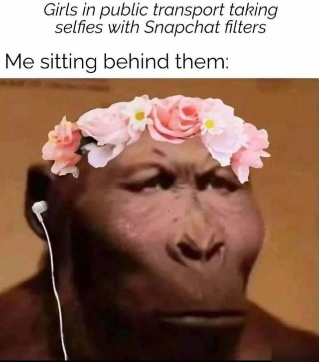 Funny Memes (20 pics)