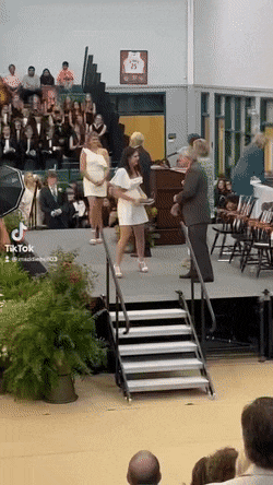 Acid GIFs, May 31 (25 gifs)