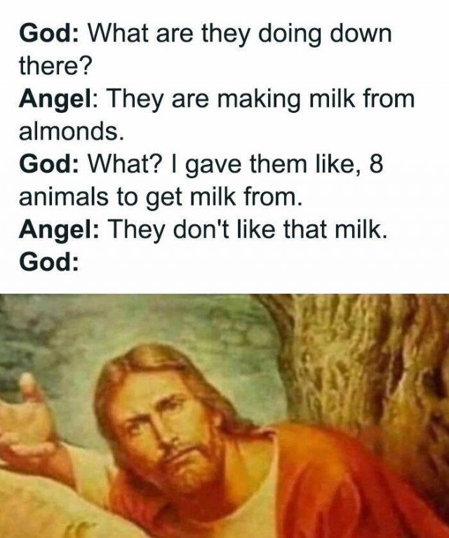 Classical Art Memes (30 pics)