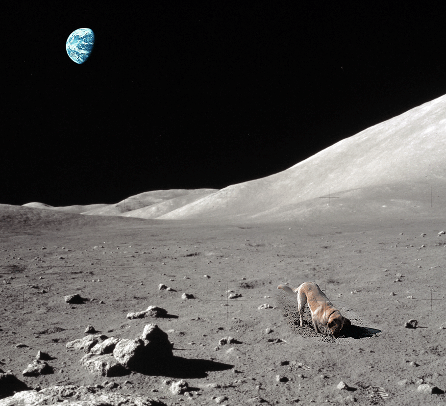 Acid GIFs, June 2 (25 gifs)