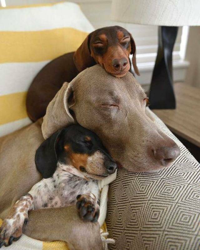 Daily Pictures. Part 2 (60 pics)
