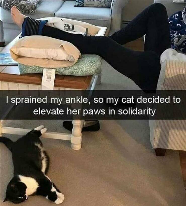 Daily Pictures. Part 2 (60 pics)