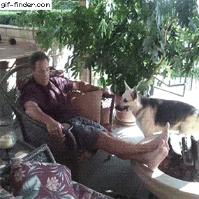 Acid GIFs, June 7 (25 gifs)