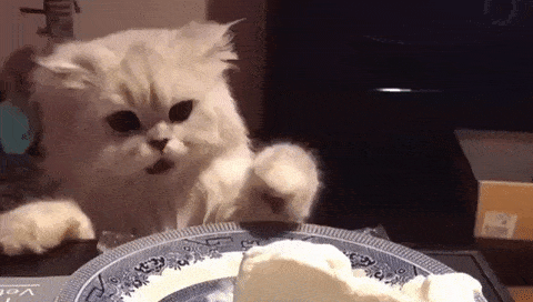 Acid GIFs, June 7 (25 gifs)