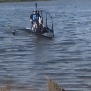 Acid GIFs, June 7 (25 gifs)