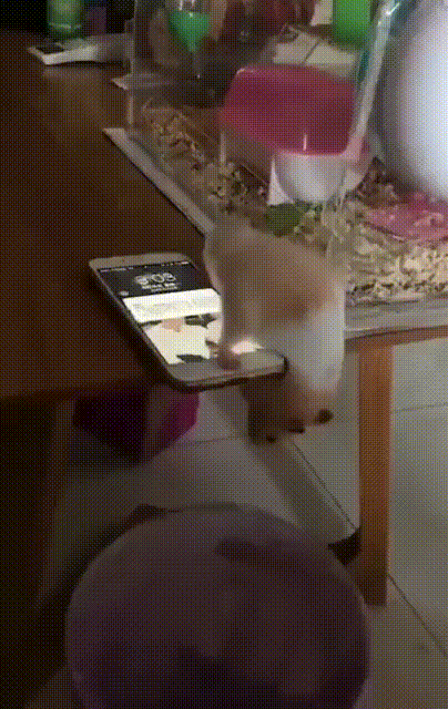 Acid GIFs, June 7 (25 gifs)