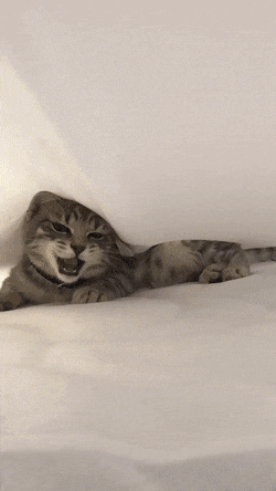 Acid GIFs, June 7 (25 gifs)