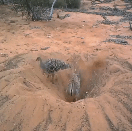 Acid GIFs, June 7 (25 gifs)