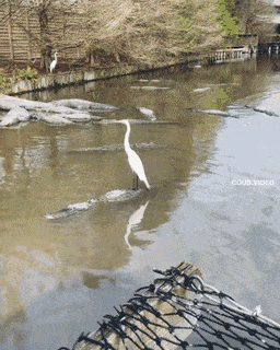Acid GIFs, June 7 (25 gifs)