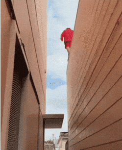 Acid GIFs, June 8 (25 gifs)