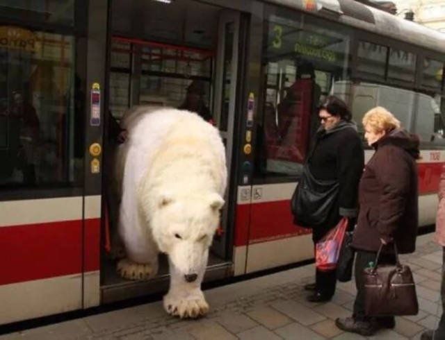 Very Weird Situations (39 pics)