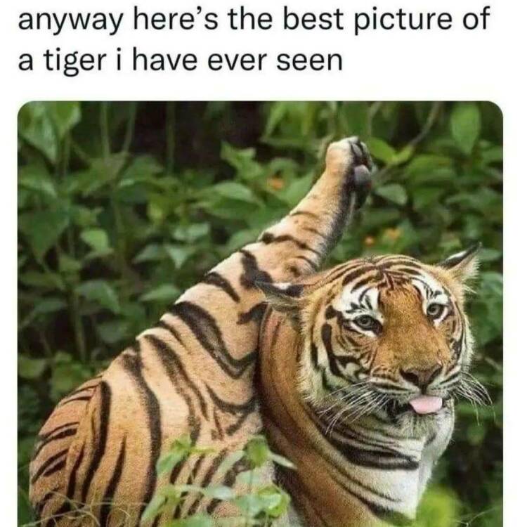 Daily Pictures. Part 2 (63 pics)