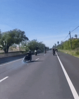 Acid GIFs, June 16 (25 gifs)