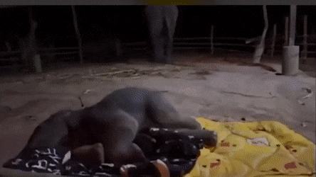 Acid GIFs, June 16 (25 gifs)