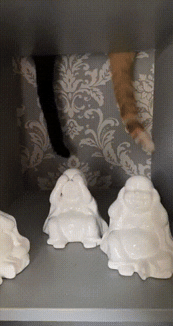Acid GIFs, June 16 (25 gifs)