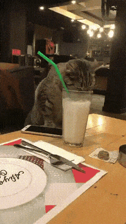 Acid GIFs, June 16 (25 gifs)
