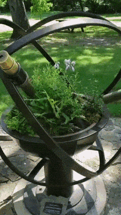 Acid GIFs, June 16 (25 gifs)
