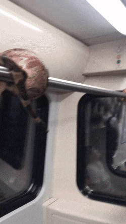 Acid GIFs, June 16 (25 gifs)