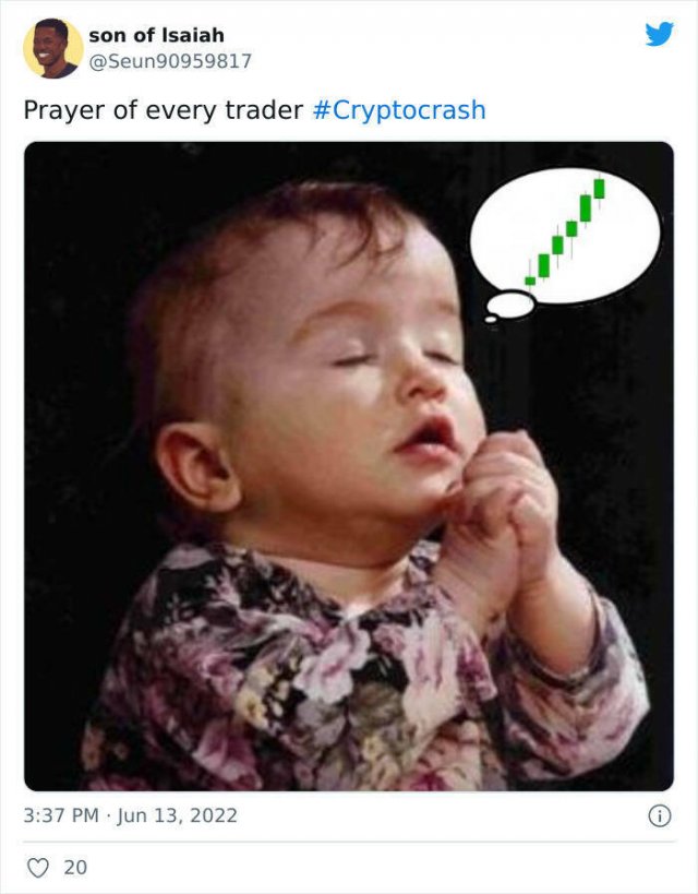 Memes About Crypto Crash (28 pics)