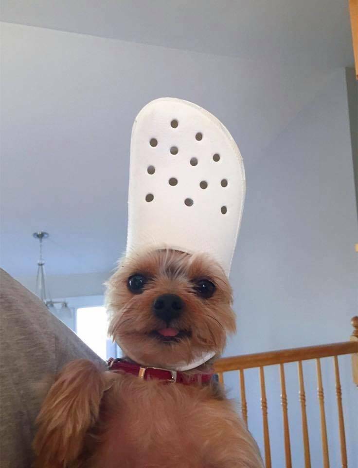 Daily Pictures. Part 2 (66 pics)