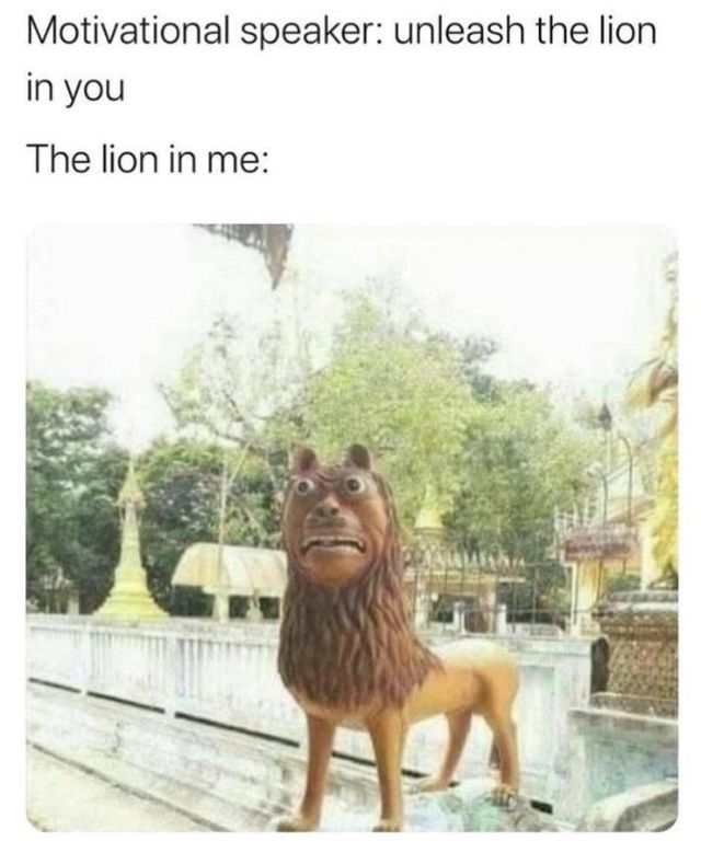 Funny Memes (16 pics)