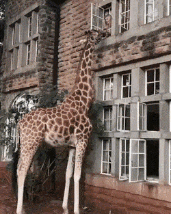 Acid GIFs, June 29 (25 gifs)