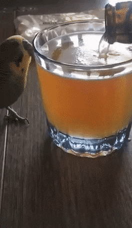 Acid GIFs, July 1 (25 gifs)