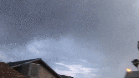Acid GIFs, July 1 (25 gifs)