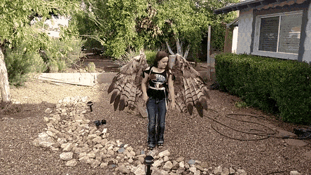 Acid GIFs, July 4 (25 gifs)