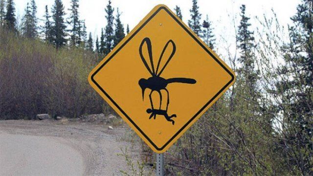 Funny Signs (24 pics)