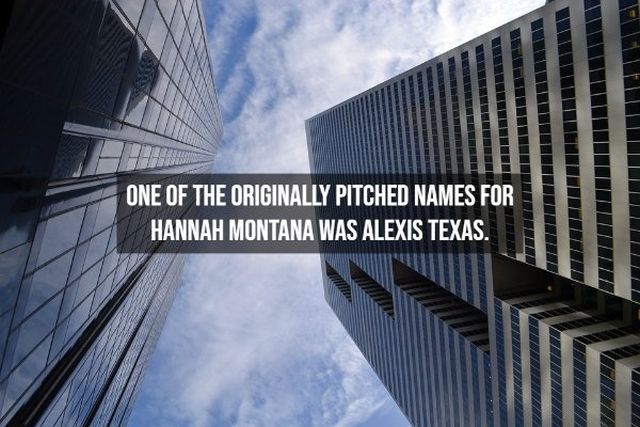 Random Facts (13 pics)