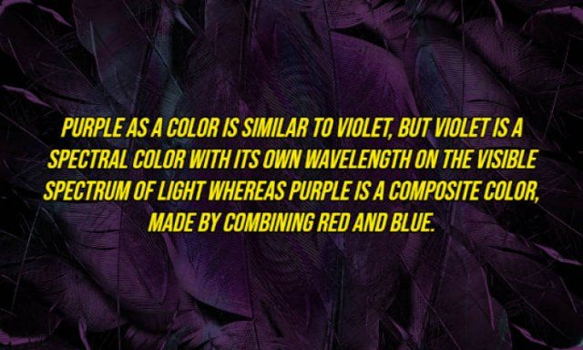 Interesting Facts (13 pics)