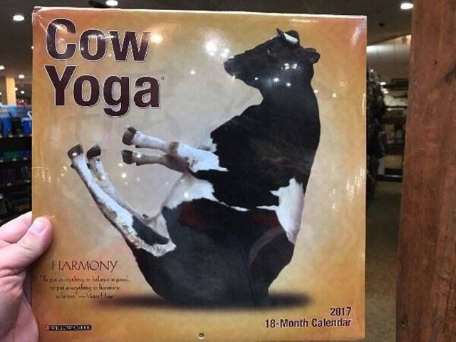 Weird Finds In Thrift Shops (26 pics)