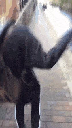 Acid GIFs, July 12 (25 gifs)
