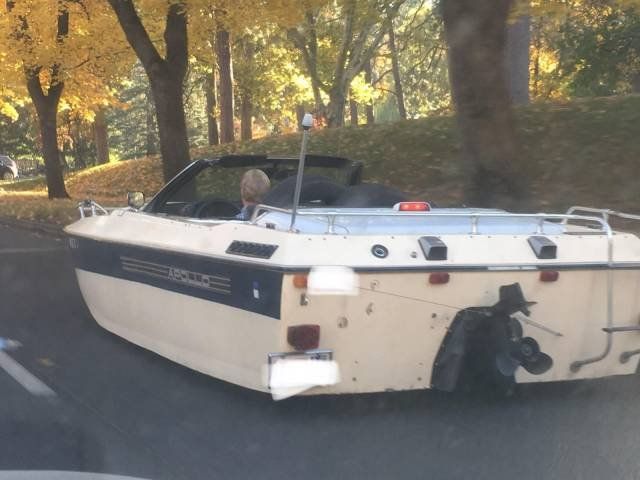 What's Going On Here? (54 pics)