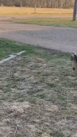 Acid GIFs, July 14 (25 gifs)