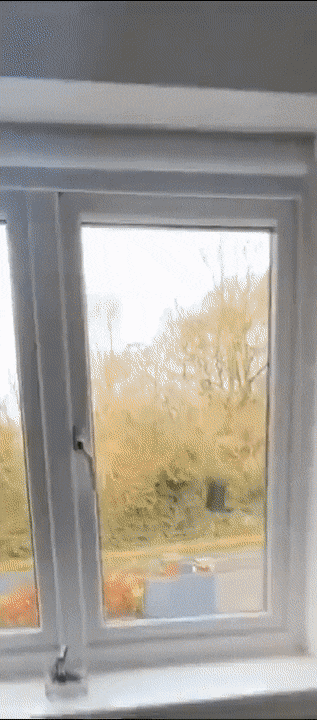 Acid GIFs, July 14 (25 gifs)