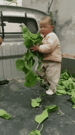 Acid GIFs, July 15 (25 gifs)